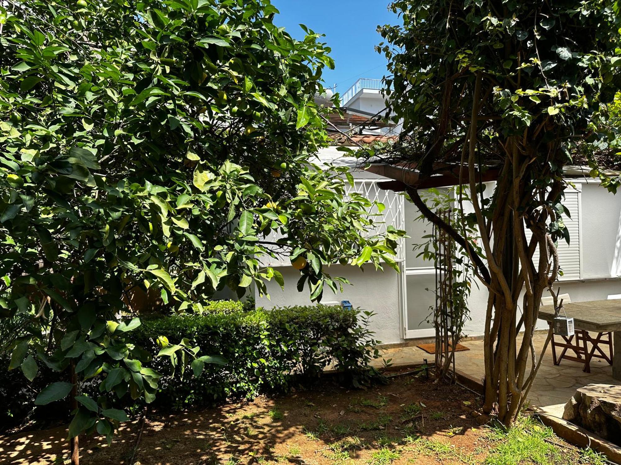 Apartmán Antonis'S Garden House Atény Exteriér fotografie